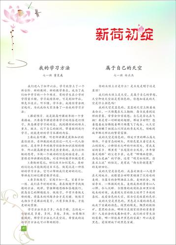 页码 (41)