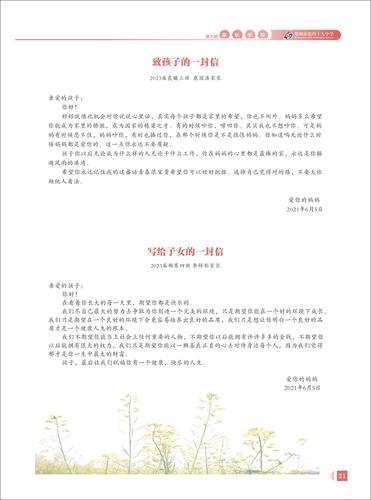 页码 (21)