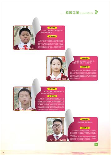 页码 (84)