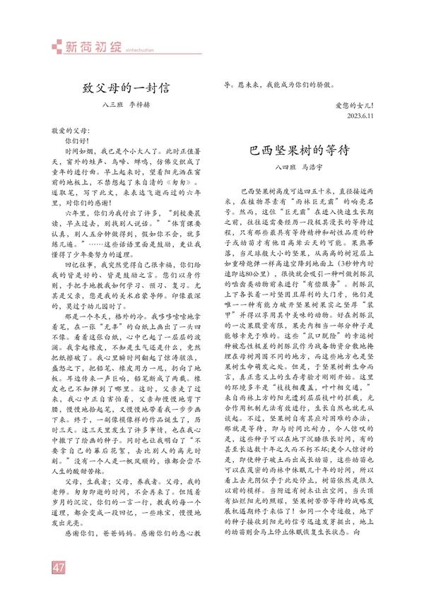 页码 (47)