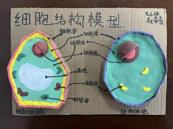 图片 27