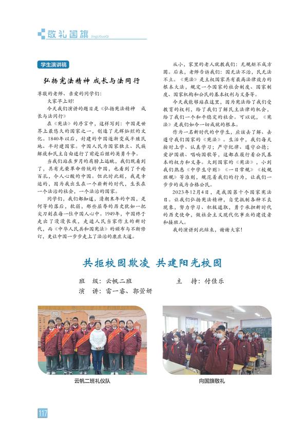 页码 (117)