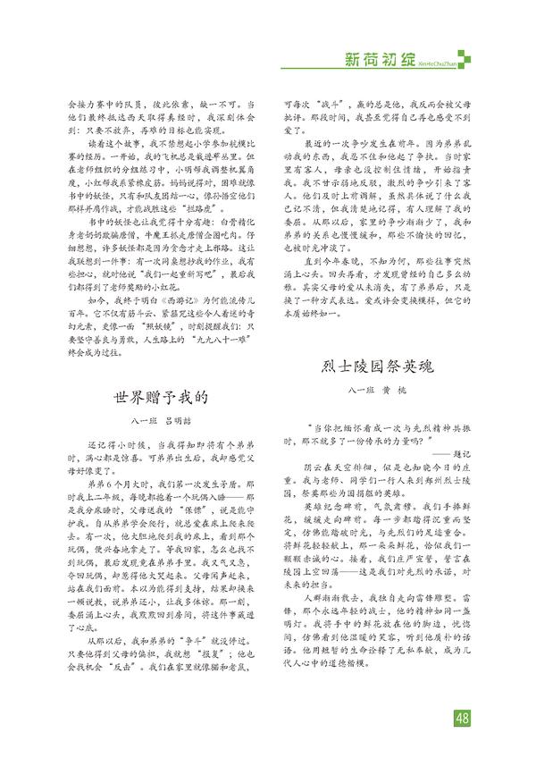 页码 (48)