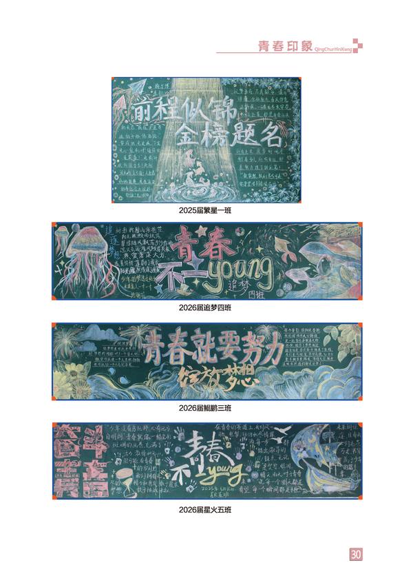 页码 (30)
