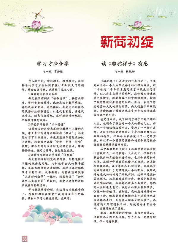 页码 (33)