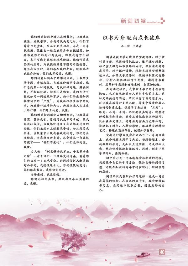 页码 (40)