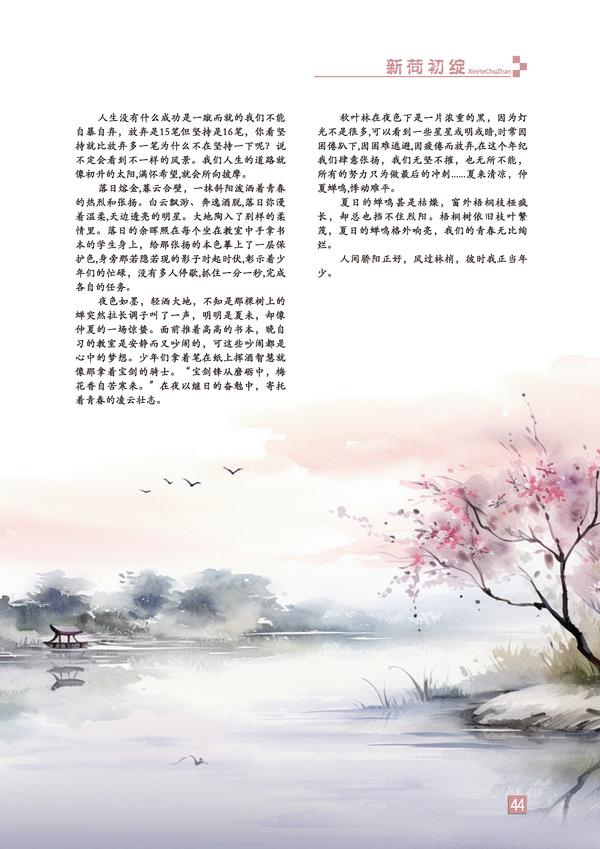 页码 (44)